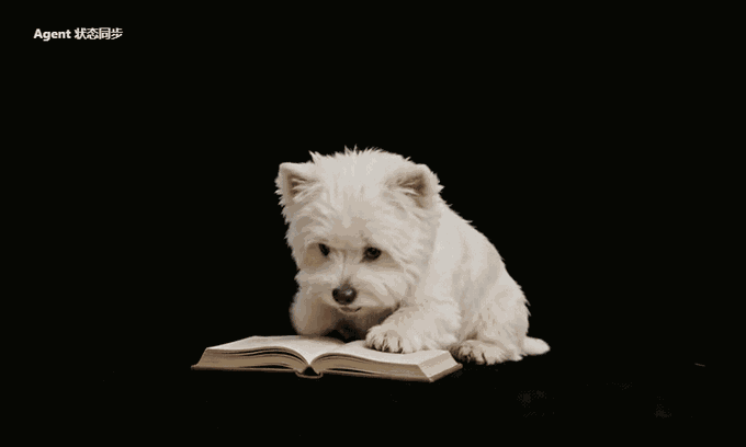 Animation: the desktop pet on the screen follows the agent's working state