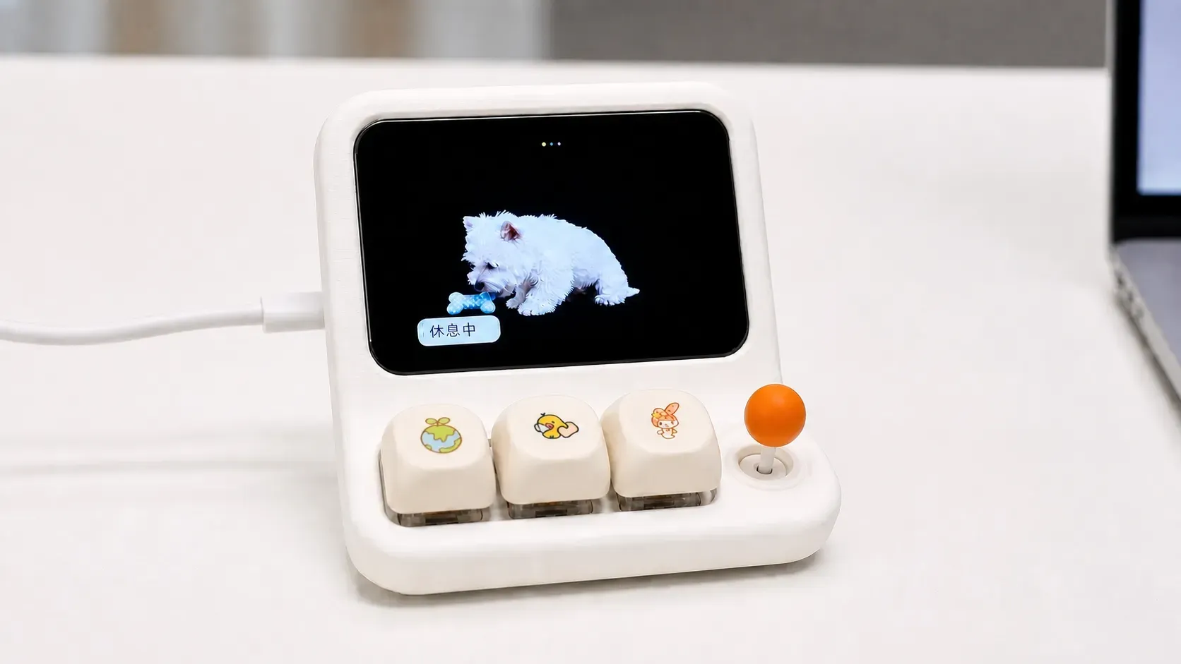HachimoDock on a desk with printed keycaps; the screen shows the pet resting